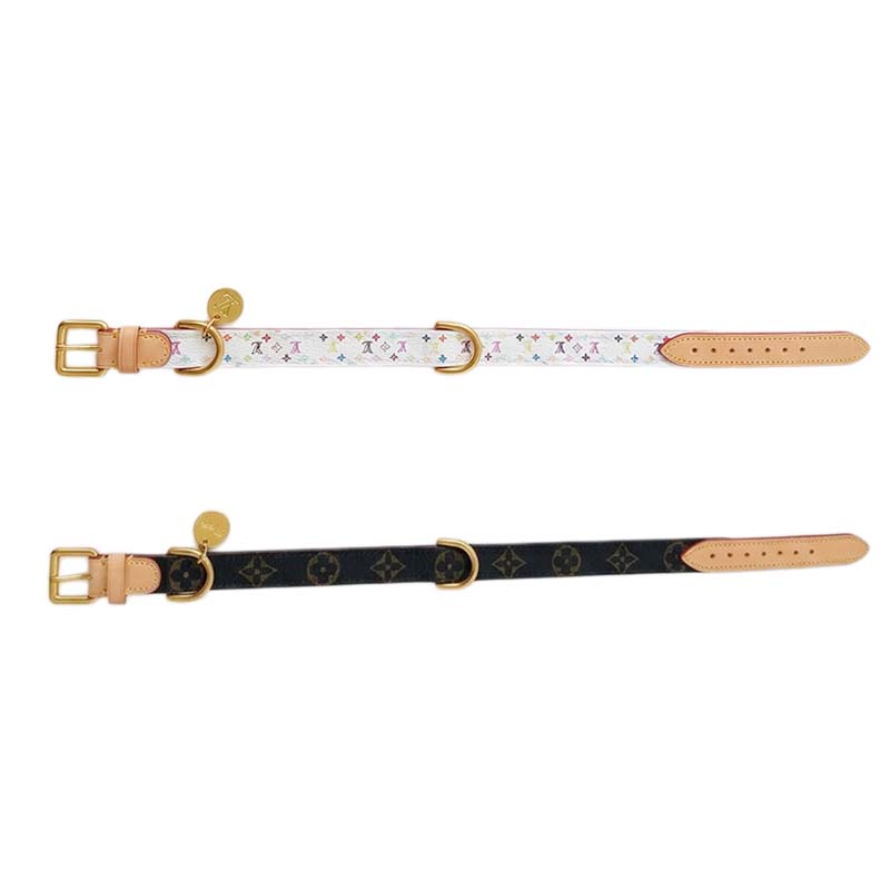 Set Collare e Guinzaglio per Cani Elegante