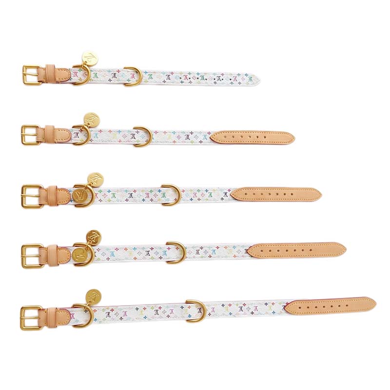 Set Collare e Guinzaglio per Cani Elegante