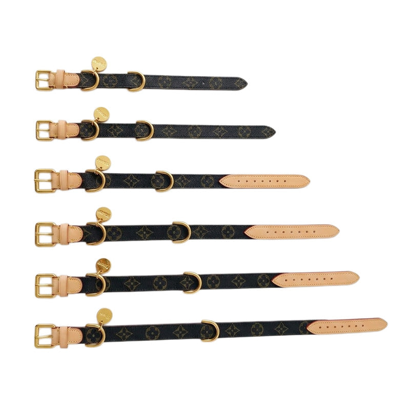 Set Collare e Guinzaglio per Cani Elegante