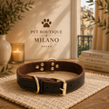 Collare Elegante Regolabile per Cani con Finiture Oro | Milano PET Boutique