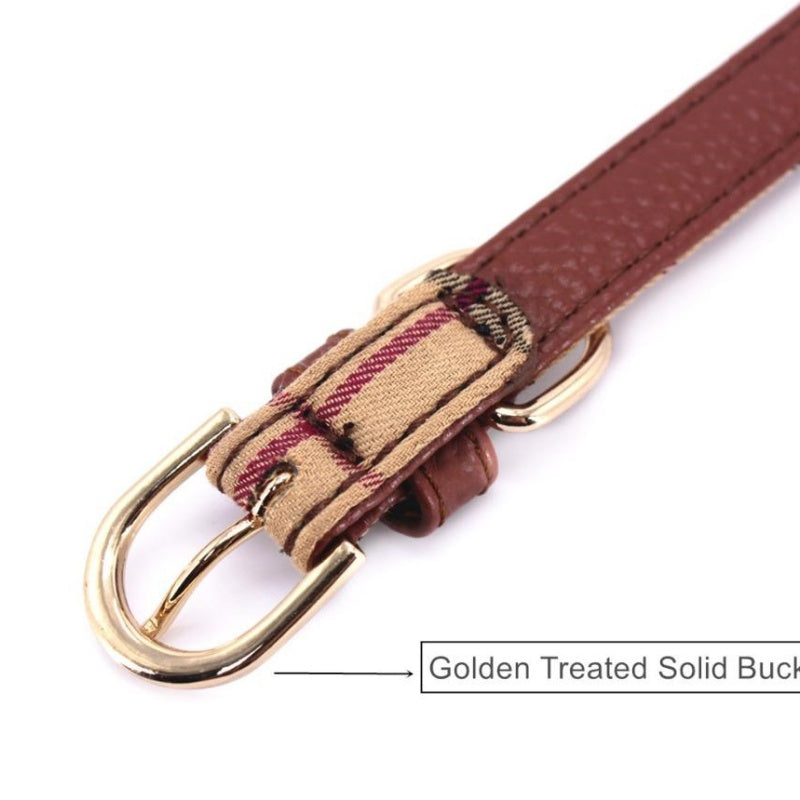 Set Collare e Guinzaglio per cani con papillon