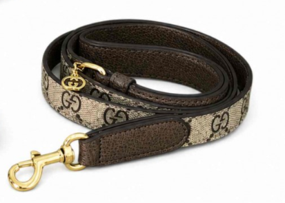 Set da passeggio per cani: pettorina, collare e accessori