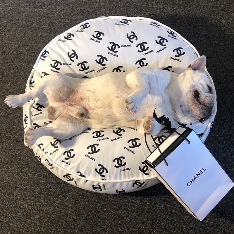 Cuscino rotondo con monogramma per cani