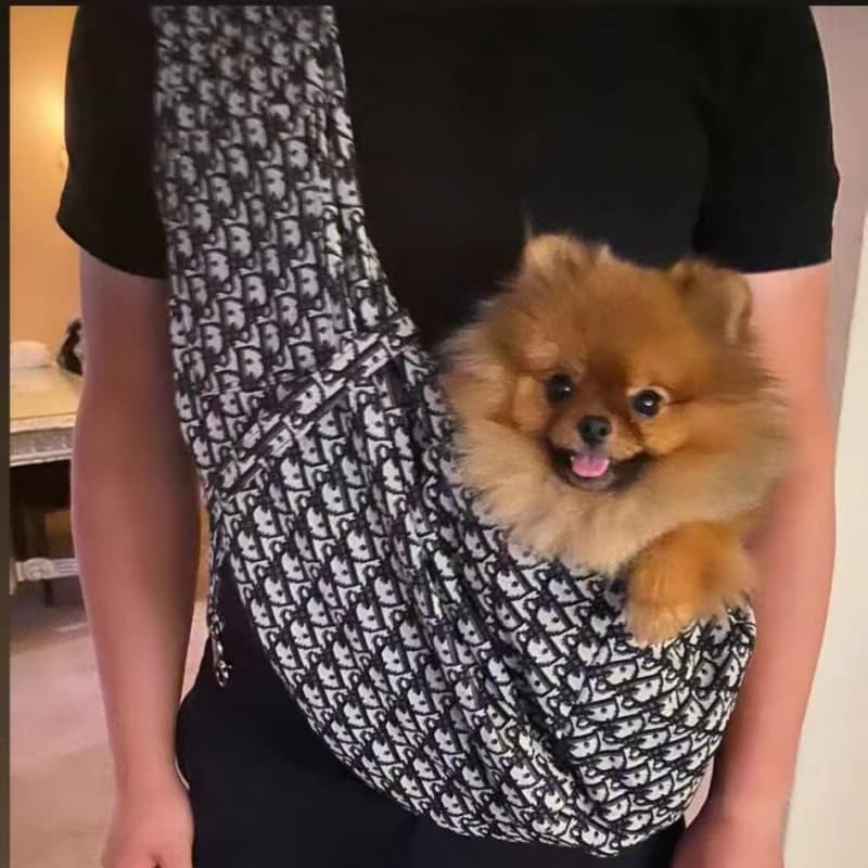 Borsa a tracolla trasporto cane Monogram