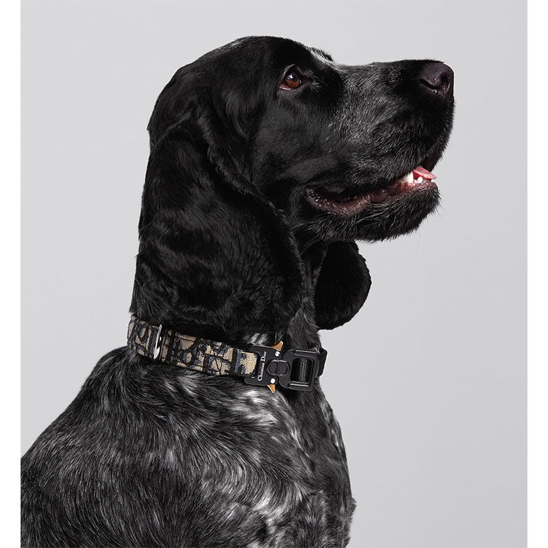 Set Collare Guinzaglio e porta sacchetti per cani con monogramma