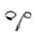 Set collare e guinzaglio Oblique per cani