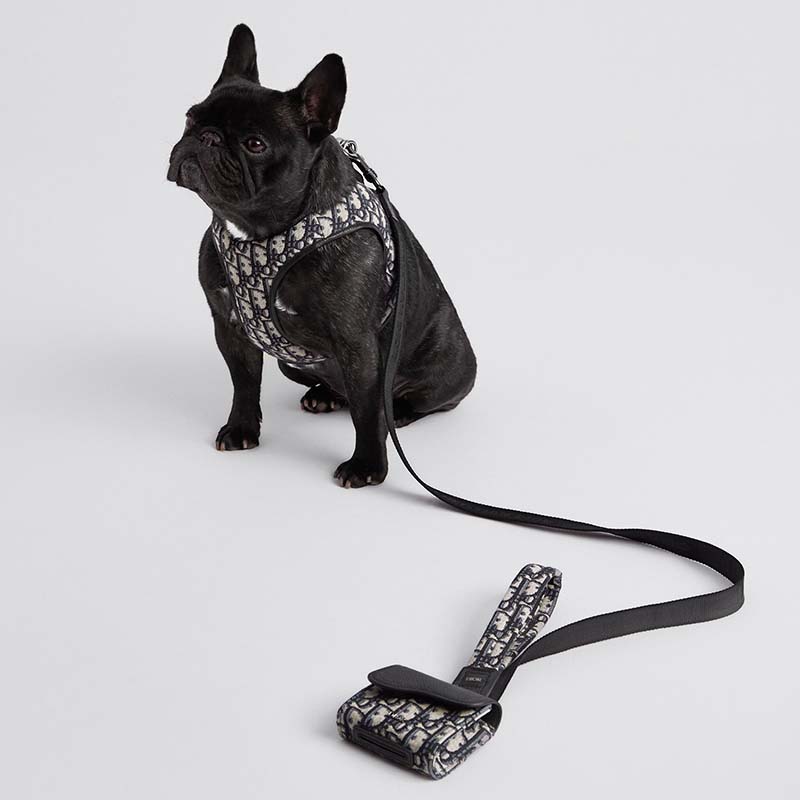 Pettorina Elegance Monogram™ Blu Luxury per Cani