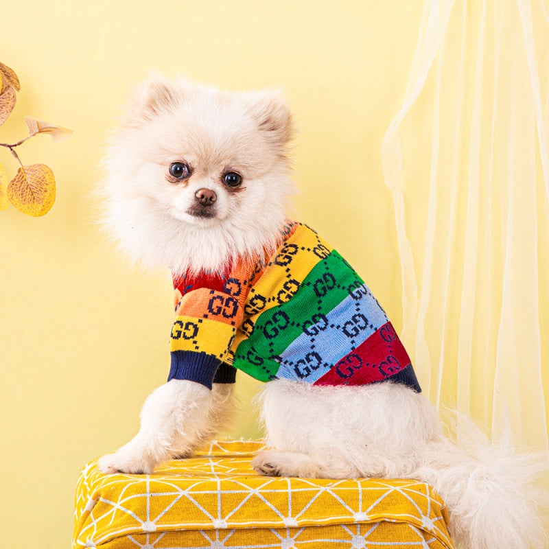 Maglione per cani GG righe arcobaleno dai colori vivaci