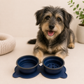 Ciotola Doppia Pieghevole da Viaggio per Cani – Silicone Antiscivolo Compatta