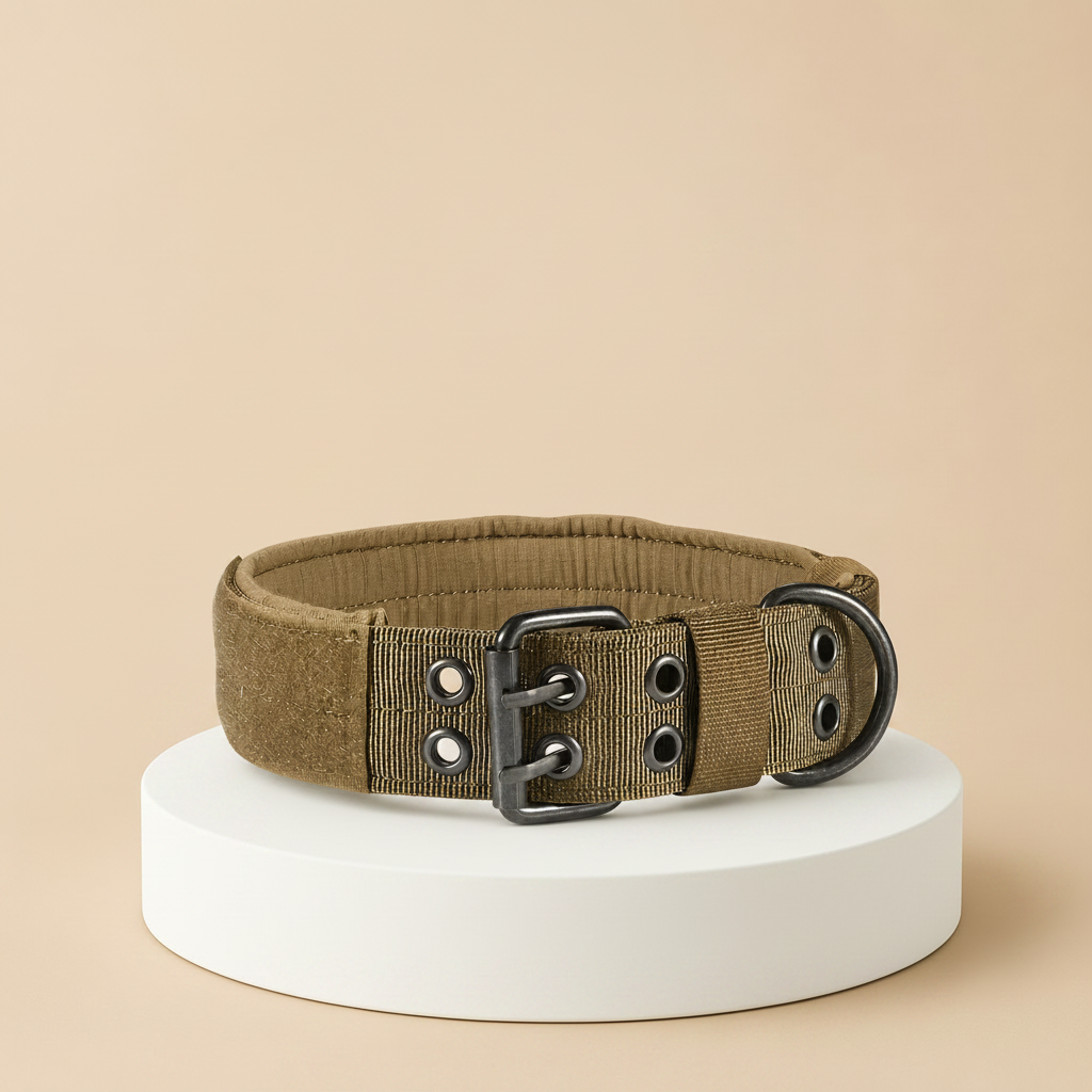 Collare Tattico per Cani in Nylon Imbottito Regolabile Anti Sfregamento con Fibbia in Metallo
