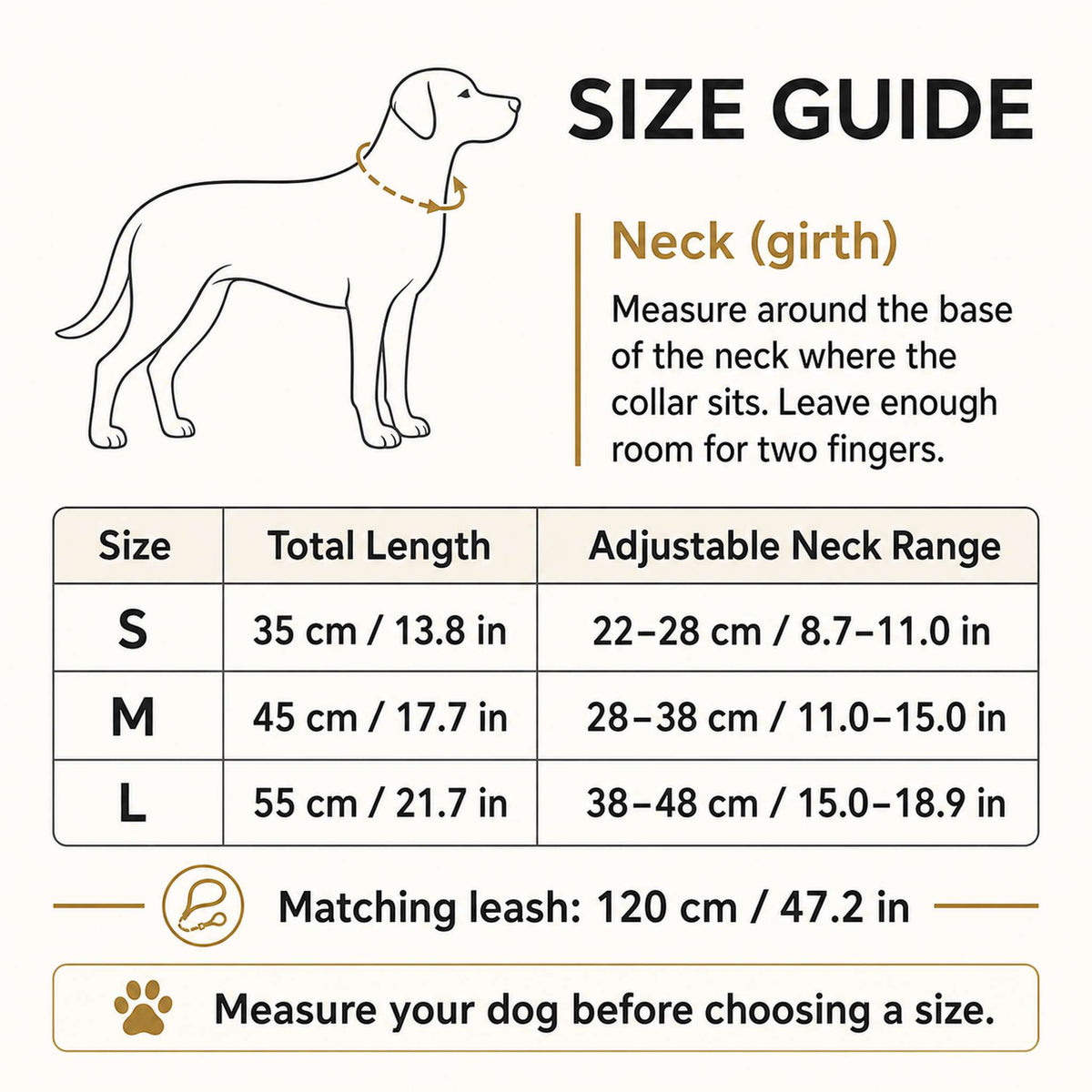Set Collare e Guinzaglio per cani luxury GG