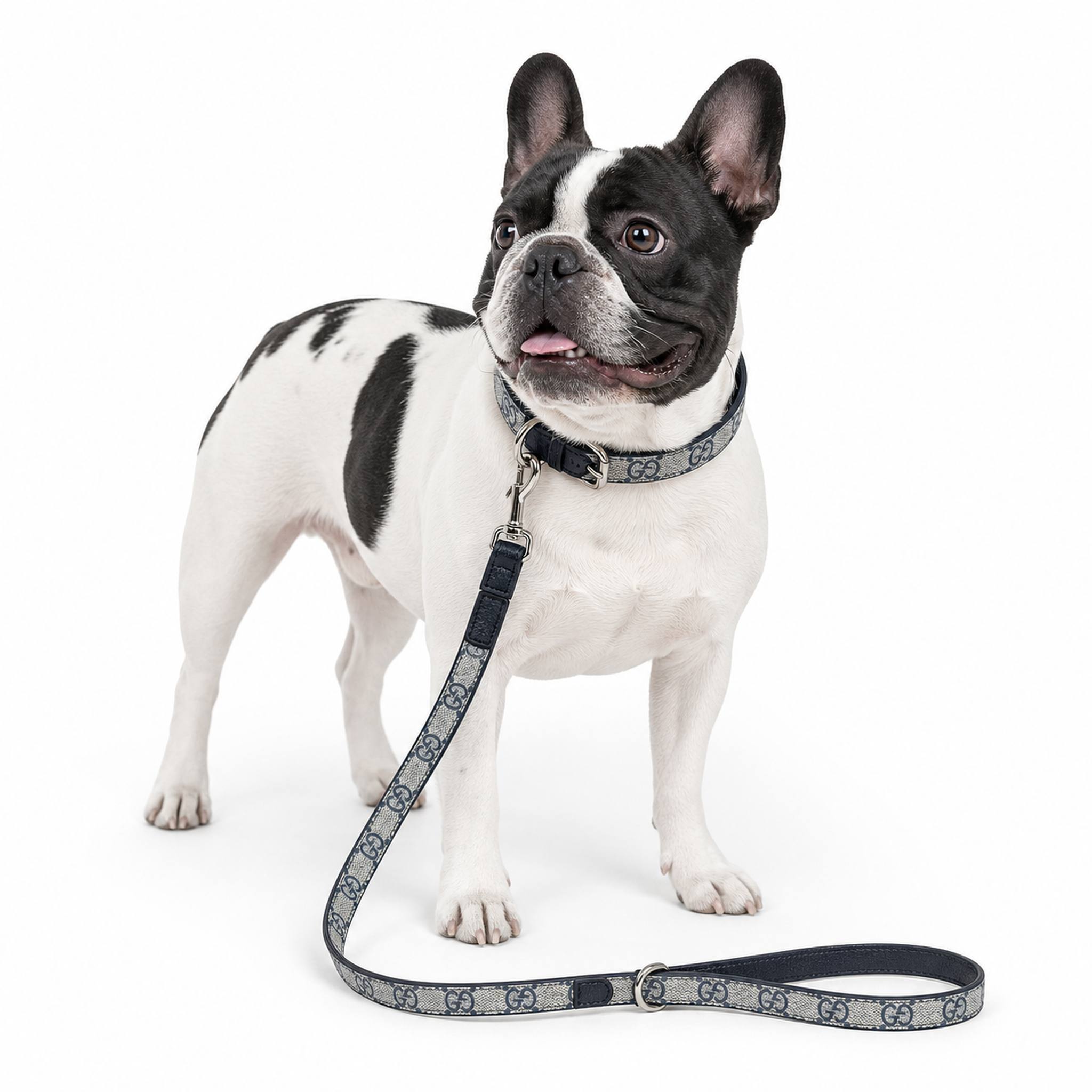 Set Collare e Guinzaglio per cani luxury GG