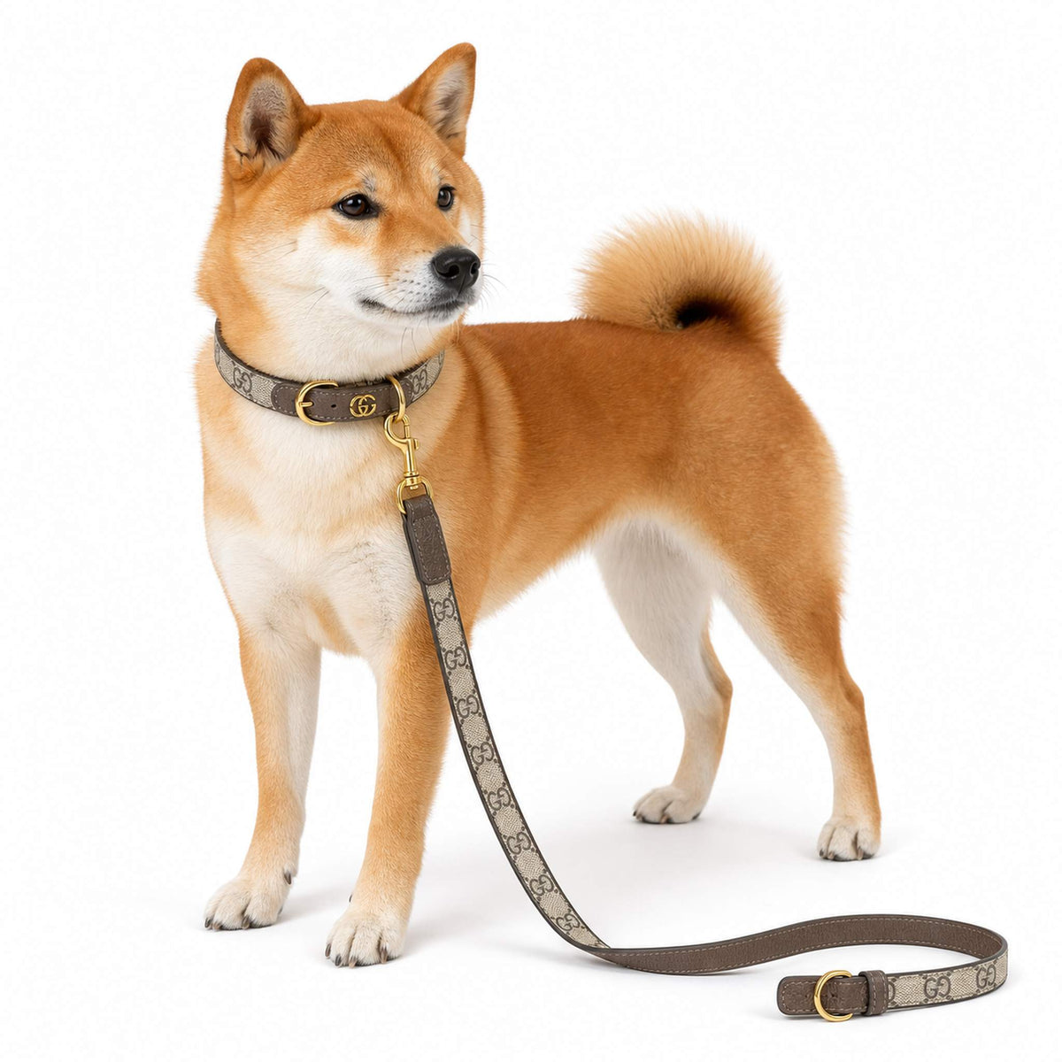 Set Collare e Guinzaglio per cani luxury GG