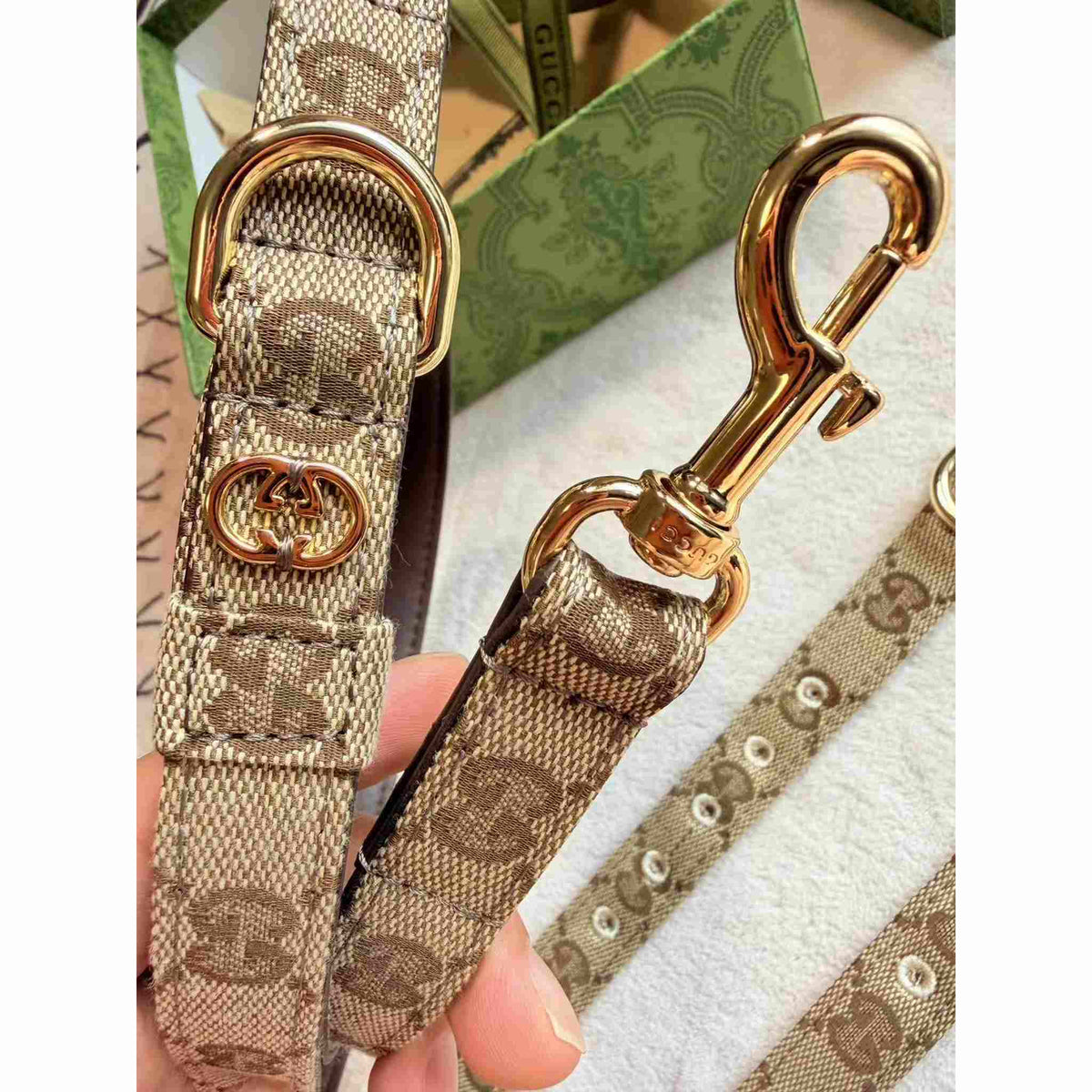 Set Collare e Guinzaglio per cani con monogramma beige