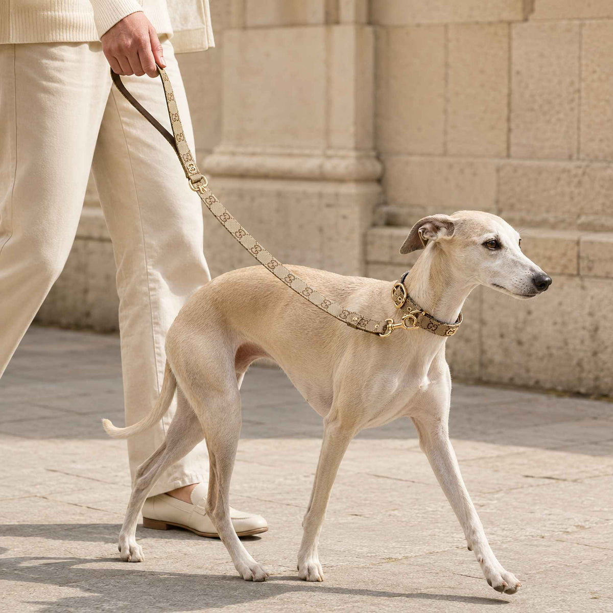 Set Collare e Guinzaglio per cani con monogramma beige