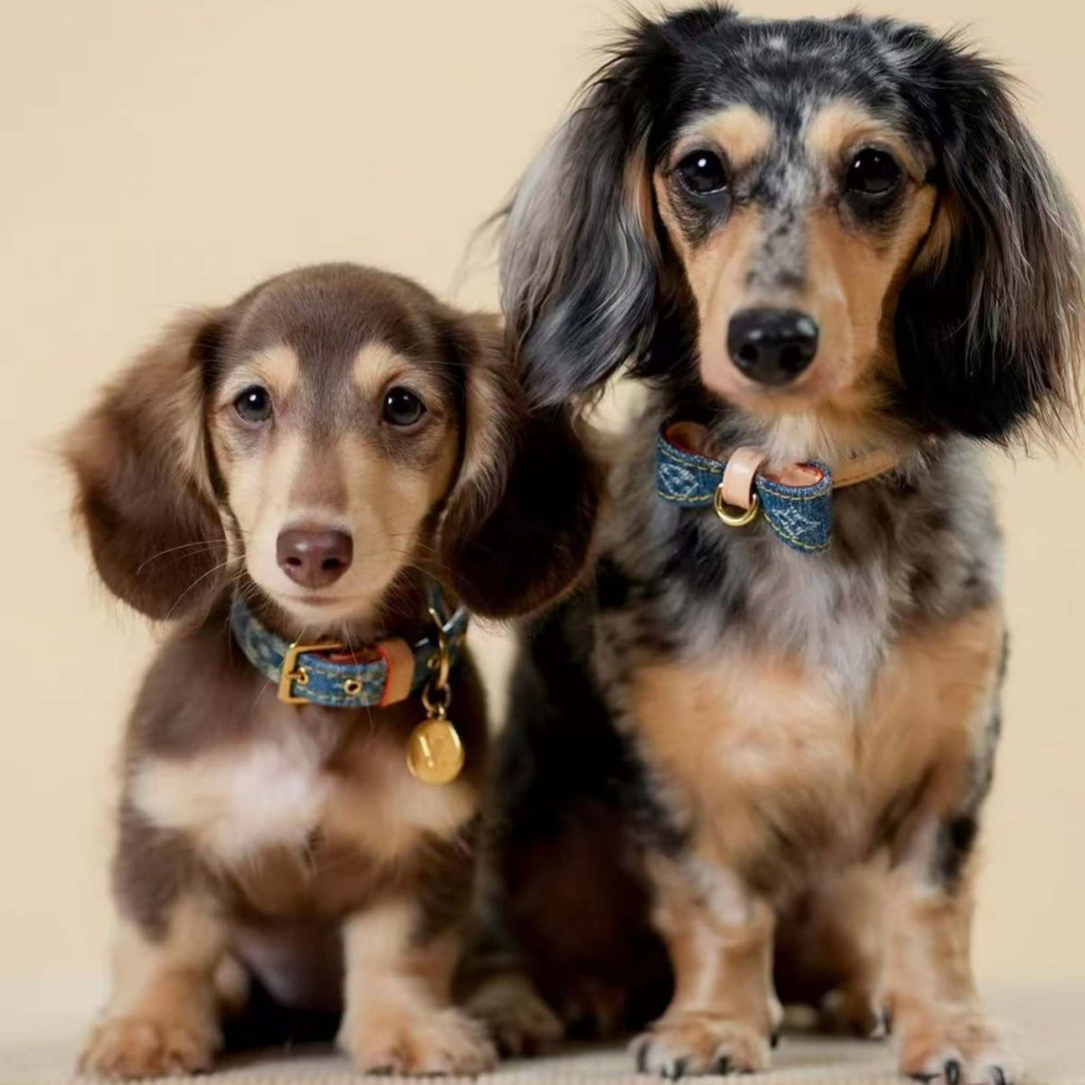 Collare per cani LV con fiocco