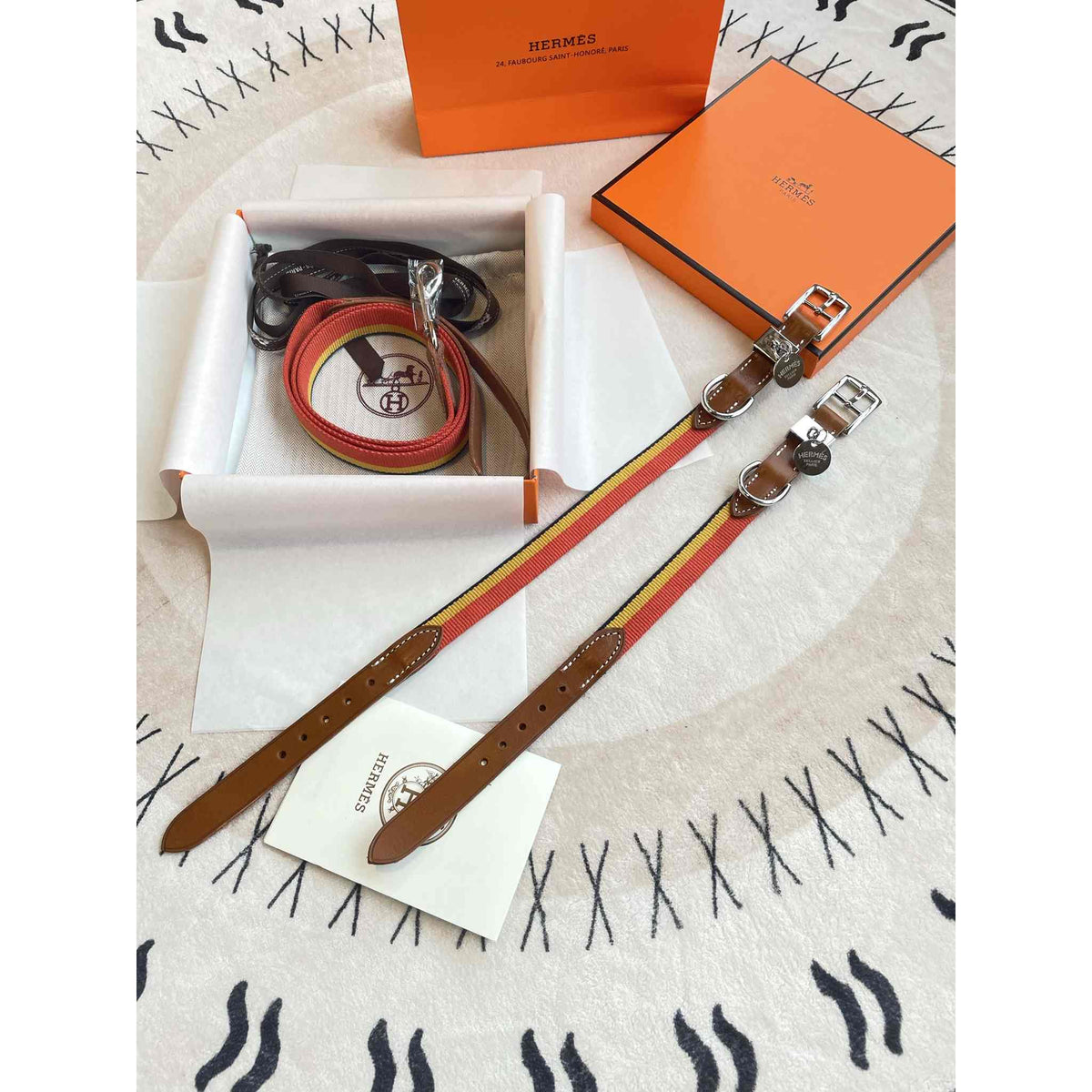 Set Collare, pettorina e guinzaglio per cani HM Rocabar Stripe