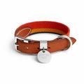 Set Collare, pettorina e guinzaglio per cani HM Rocabar Stripe