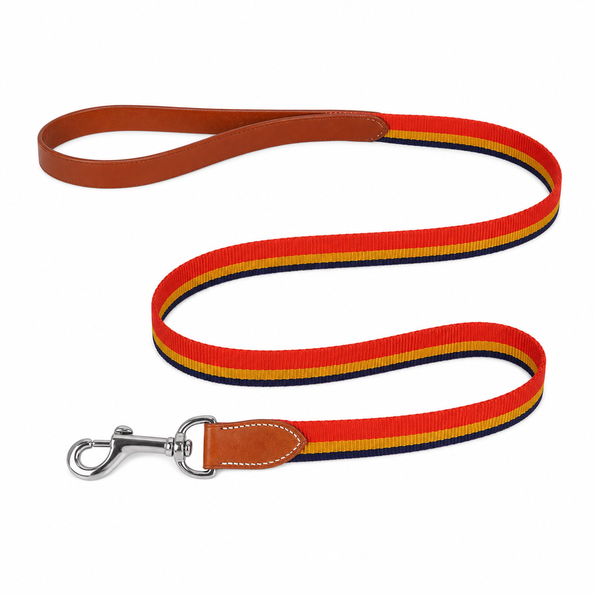 Set Collare, pettorina e guinzaglio per cani HM Rocabar Stripe