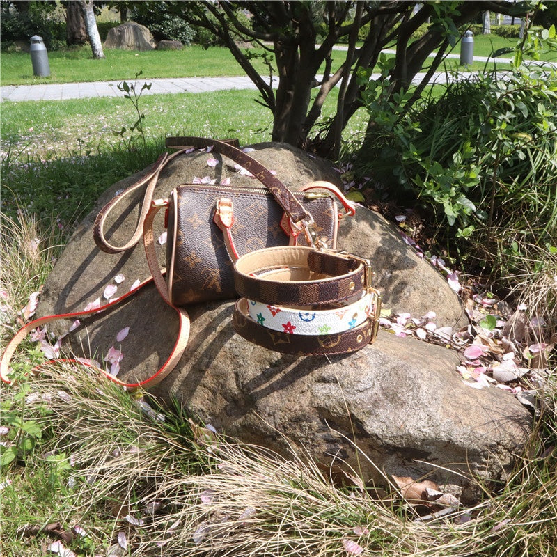 Set Collare e Guinzaglio per cani in ecopelle