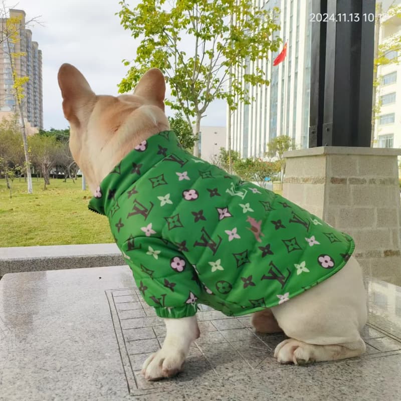Giacca per cani LV verde smeraldo
