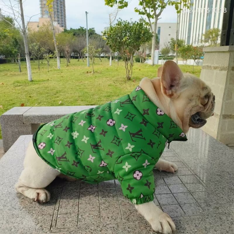 Giacca per cani LV verde smeraldo