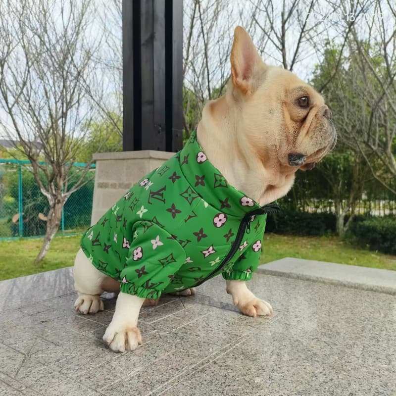 Giacca per cani LV verde smeraldo