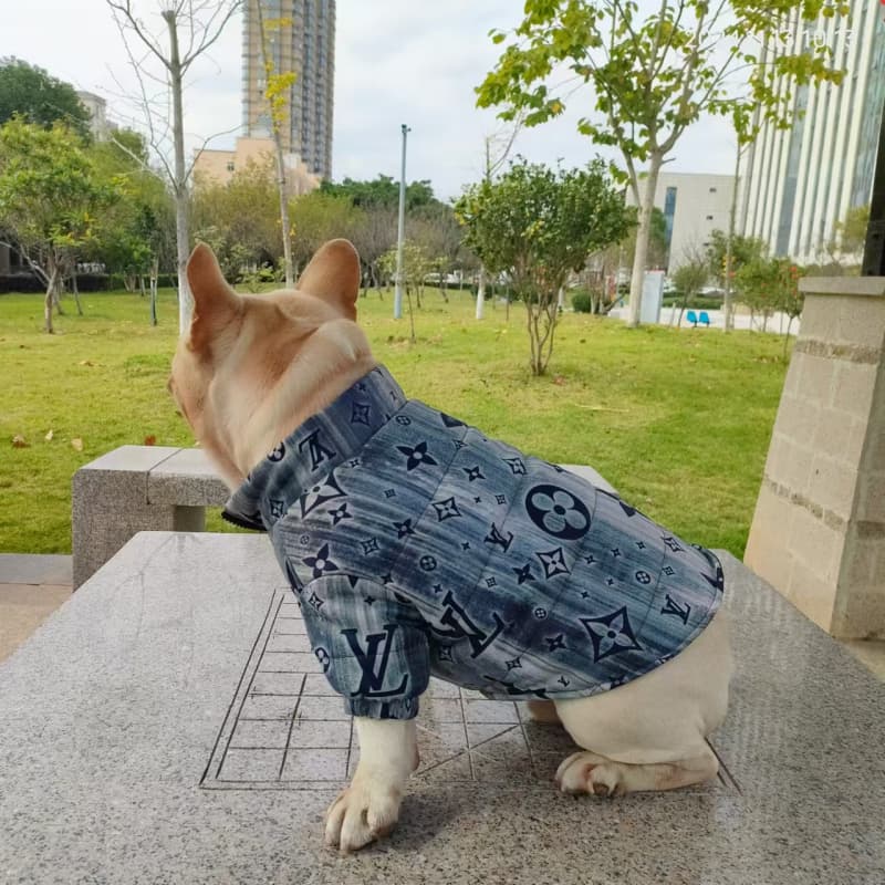 Giacca per cani LV Vintage blu a fantasia floreale