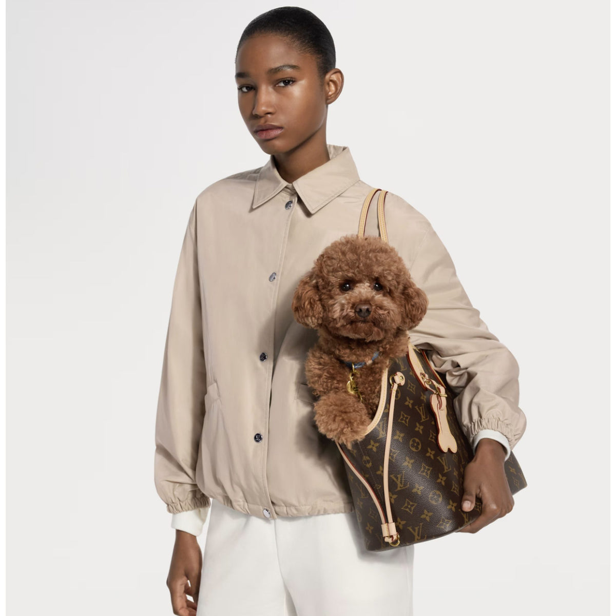 Borsa trasportino per cani marrone con monogramma.