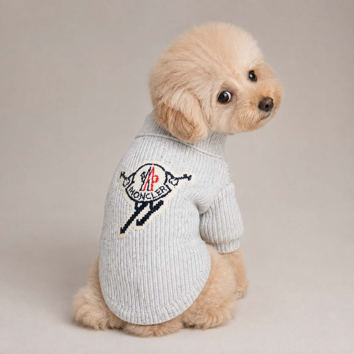Maglione per cani con stemma