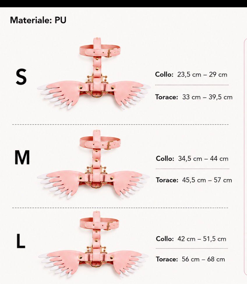 Pettorina Angel Wings per Cani – Elegante con Ali Decorative e Guinzaglio Abbinato