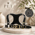 Pettorina Elegance in Ecopelle con Guinzaglio Coordinato per Cani