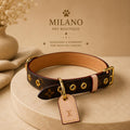 Set Collare e Guinzaglio Luxury Amelia Premium per Cani