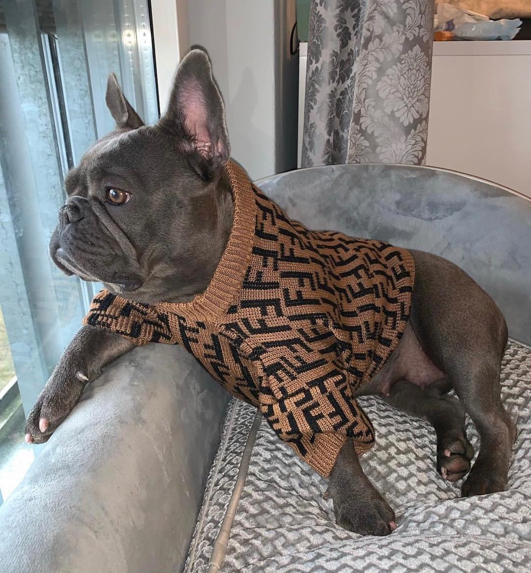 Maglione per cani con logo FF