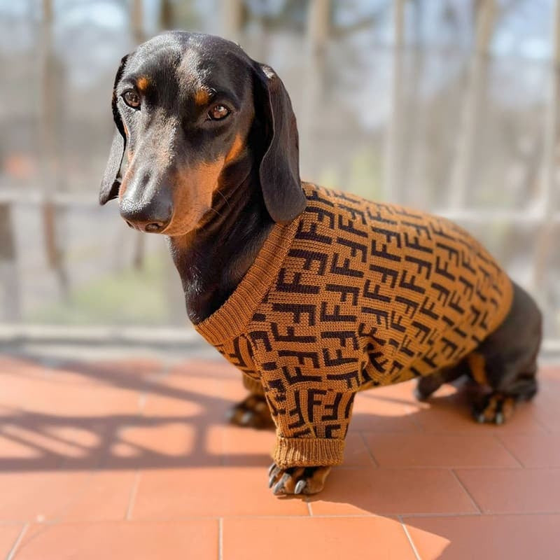 Maglione per cani con logo FF